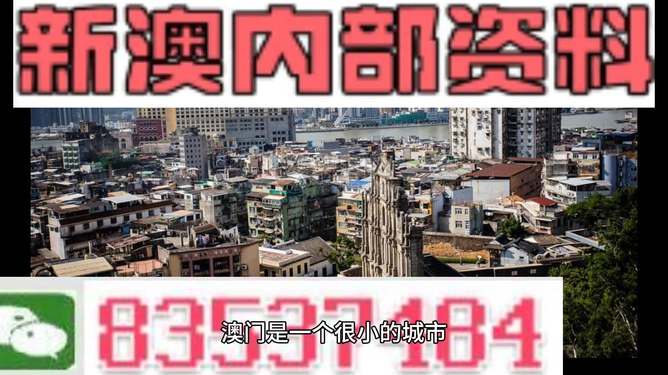 新澳門精準(zhǔn)四肖期準(zhǔn)，探索背后的秘密與策略，澳門精準(zhǔn)四肖期背后的秘密與策略探索