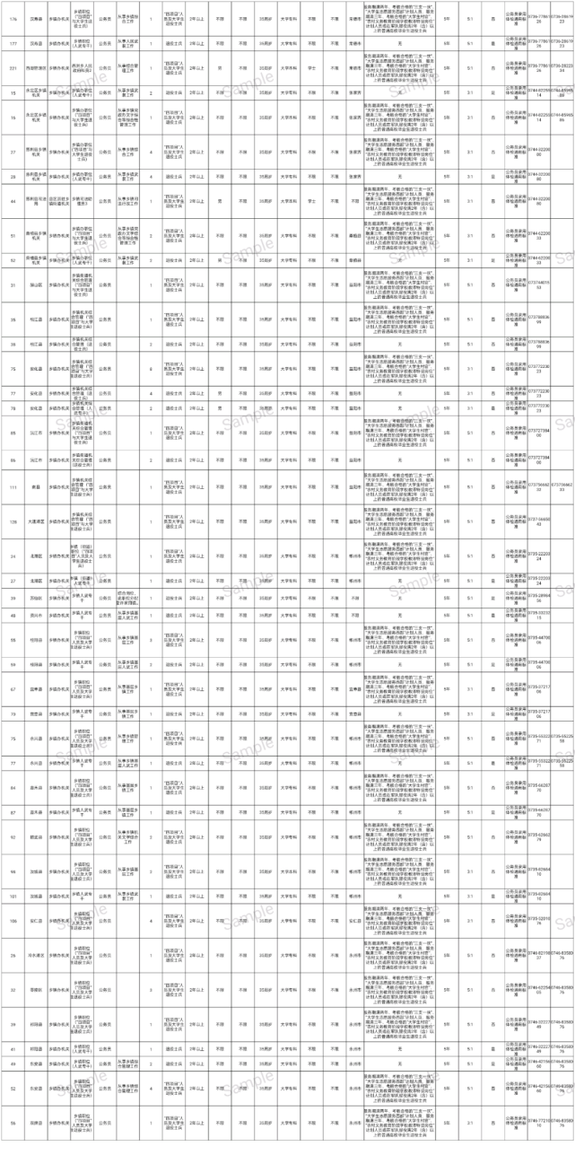 定向招聘公務(wù)員，為退役士兵開啟新的征程——聚焦2023年退役士兵定向招聘公務(wù)員政策，2023年定向招聘公務(wù)員助力退役士兵開啟新征程，政策聚焦解讀