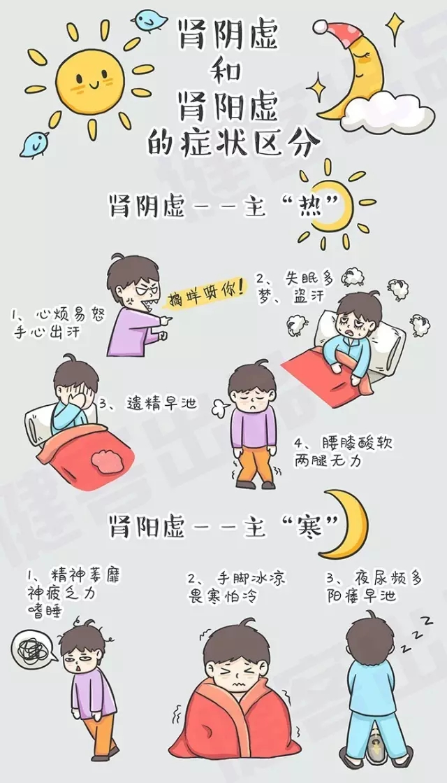 解析腎陰虛與腎陽虛，兩者之間的區(qū)別及理解，腎陰虛與腎陽虛，解析其區(qū)別與理解