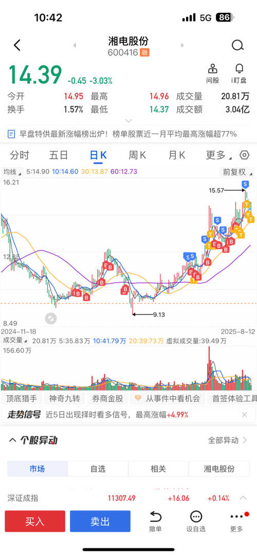 湘電股份股票，深度解析與前景展望，湘電股份股票深度解析及前景展望