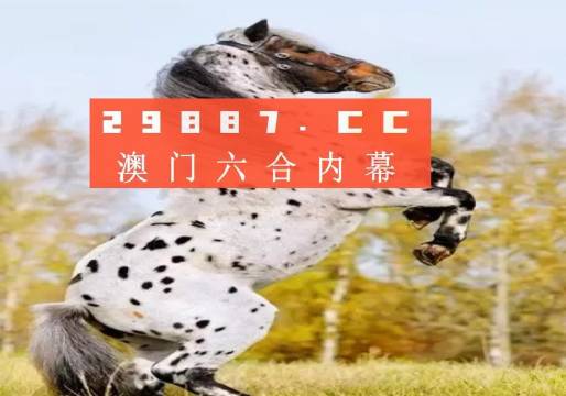 白小姐三碼三期