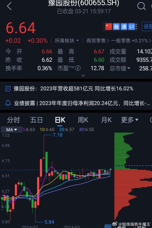 豫園股份股票，深度解析與前景展望，豫園股份股票深度解析及前景展望
