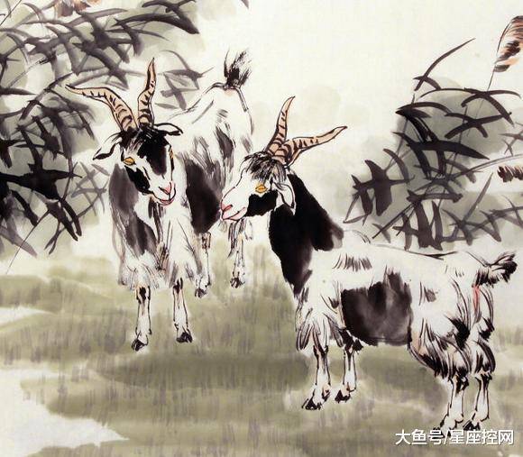 澳門最快開獎六開生肖，揭秘彩票背后的秘密，澳門六開生肖彩票背后的秘密揭曉