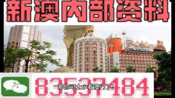 新澳新澳門正版資料，探索與解析，新澳新澳門正版資料深度解析與探索