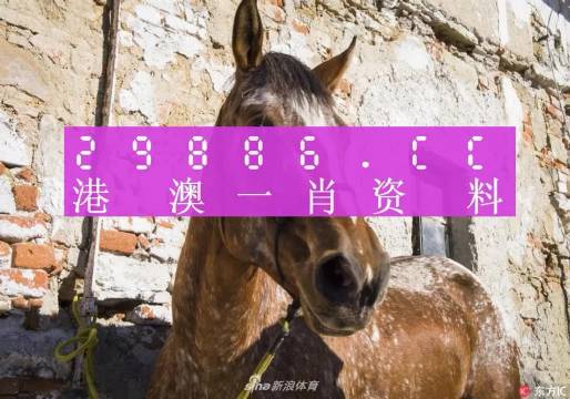 揭秘王中王資料，一肖正特馬的奧秘，揭秘王中王資料與一肖正特馬的神秘面紗