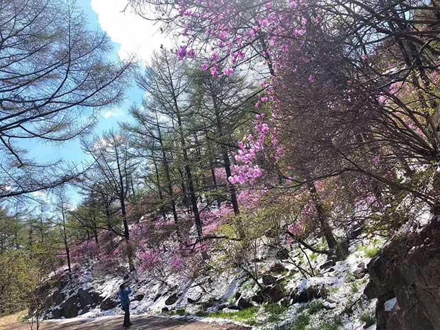 即墨天氣預報，掌握天氣變化，助力生活安排，即墨天氣預報，掌握天氣變化，智能規(guī)劃生活