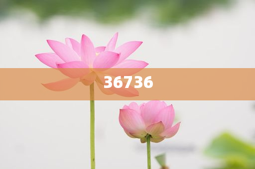 揭秘7777788888精準新傳真，真相大揭秘，揭秘精準新傳真背后的真相，77777與88888的神秘面紗被揭開