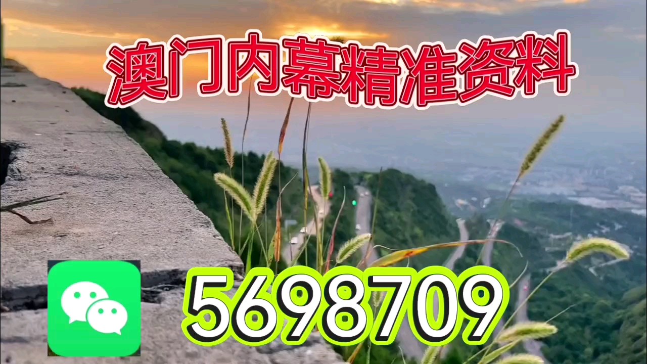 新澳天天開彩資料大全，探索彩票世界的奧秘，探索彩票世界奧秘，新澳天天開彩資料大全