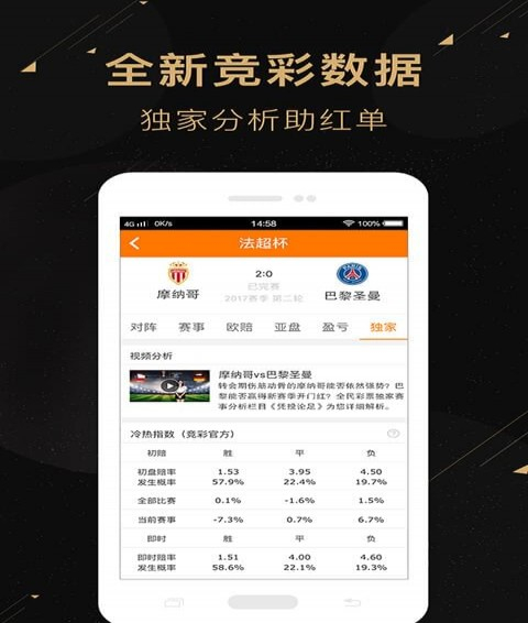 二肖二碼，深度解析與SEO優(yōu)化策略，二肖二碼深度解析與SEO優(yōu)化策略探討