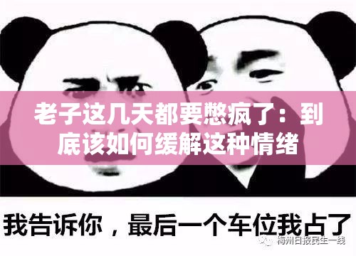 老子這幾天都要憋瘋了——探索心理壓力的釋放與生活的平衡，心理壓力釋放與生活平衡之道，探尋釋放壓力，恢復(fù)內(nèi)心寧靜之道