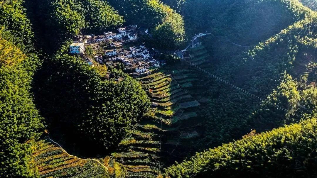 黃山自駕一日游最佳路線攻略，黃山自駕游一日游最佳路線攻略揭秘