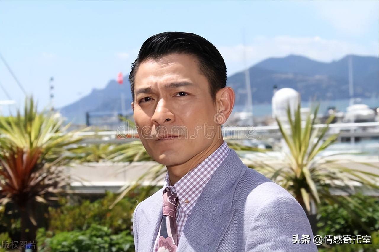 香港一碼一肖王中王，揭秘背后的秘密與真相，揭秘香港一碼一肖王中王的秘密與真相
