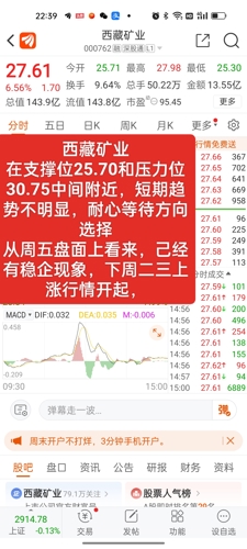 西藏礦業(yè)股票股吧，投資潛力與前景展望，西藏礦業(yè)股票投資潛力與前景展望，股吧熱議的焦點