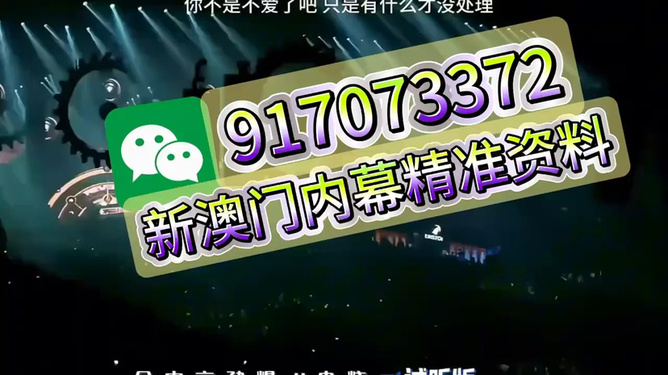 澳門王中王，揭秘一肖中的奧秘，澳門王中王揭秘生肖奧秘