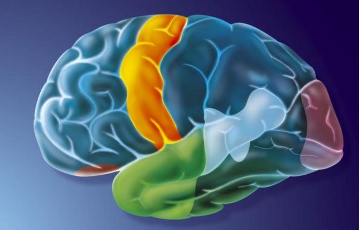 腦神經(jīng)衰弱最好的治療方法，全面解析與個性化護理方案，腦神經(jīng)衰弱最佳治療法，全面解析與個性化護理策略