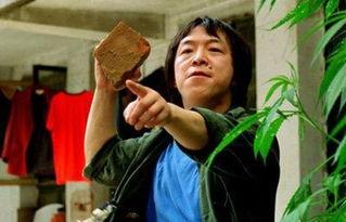 王中王丑中王解一肖，探尋背后的故事與奧秘，探尋王中王丑中王解一肖背后的故事與奧秘