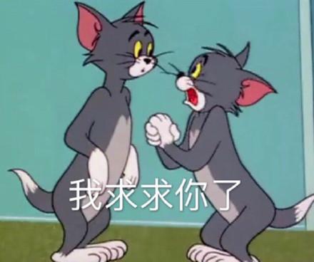 湯姆貓股票股吧，投資熱點(diǎn)與前景展望，湯姆貓股票股吧，投資熱點(diǎn)與未來前景展望
