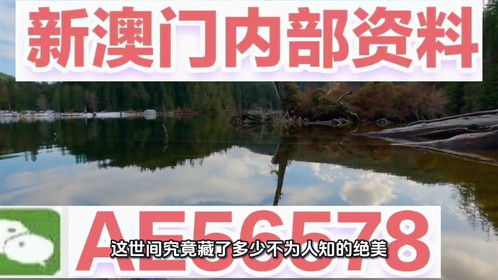 澳門(mén)精準(zhǔn)四不像