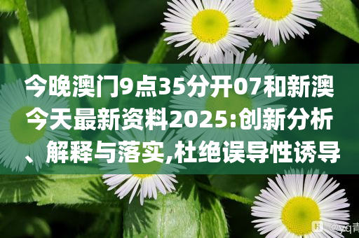 新澳今天最新資料，深度解讀與探索，新澳今日深度解讀與探索最新資料