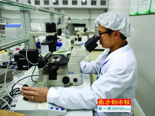 關于結扎的SEO文章，結扎手術詳解，知識、優(yōu)勢與注意事項