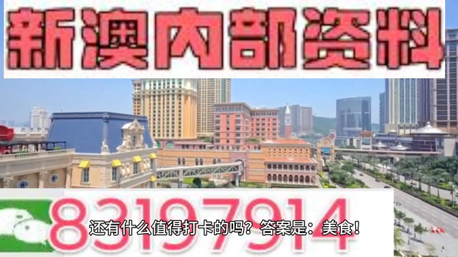 新澳門正版精準免費大全——全方位了解澳門博彩業(yè)，澳門博彩業(yè)全方位指南，新澳門正版精準免費大全