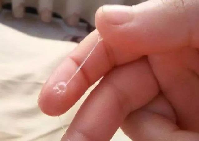 突然一灘水與排卵，解讀女性身體信號，女性身體信號解讀，排卵期的水灘現(xiàn)象解析