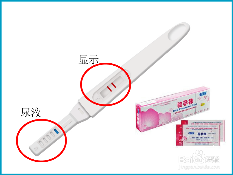 驗孕棒使用方法詳解，準確、高效的自我檢測指南，驗孕棒使用詳解，準確高效的自我檢測指南