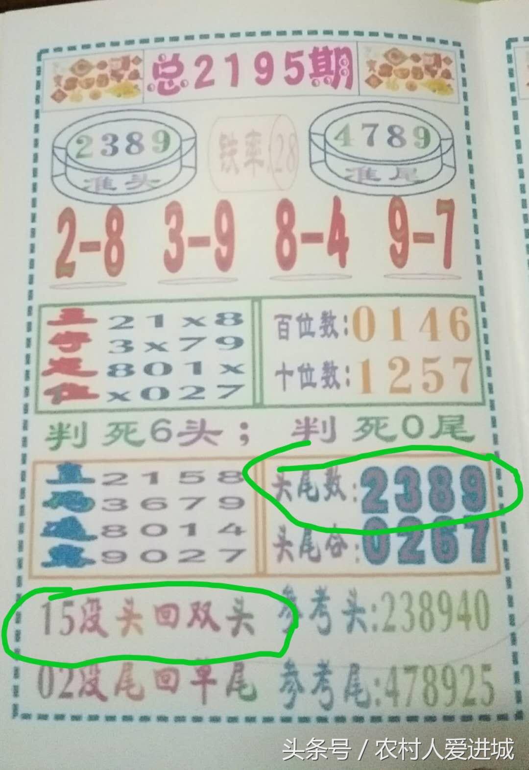 新澳門一肖中，揭秘期期準的奧秘與策略，揭秘新澳門一肖中獎奧秘與策略指南
