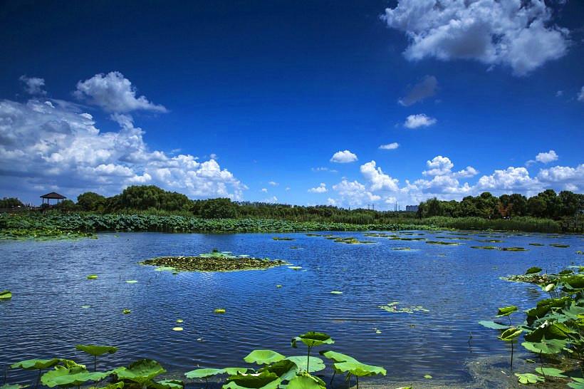 山東天氣最新消息，全面了解山東各地的氣象動(dòng)態(tài)，山東最新天氣預(yù)報(bào)，全面解讀各地氣象動(dòng)態(tài)