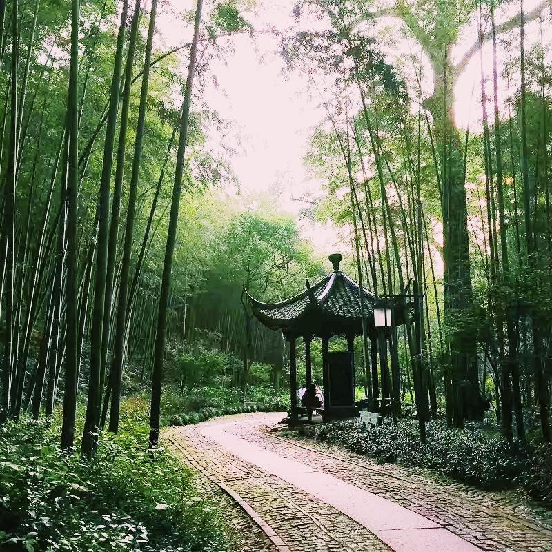 杭州西湖的十大景點——領(lǐng)略千年風(fēng)華之美，杭州西湖十大景點，千年風(fēng)華一覽無遺