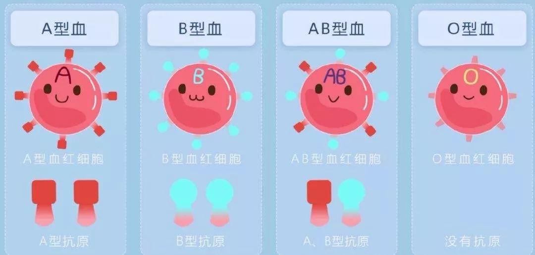 關(guān)于血型相克與不孕不育的問題解析，血型相克與不孕不育關(guān)系解析