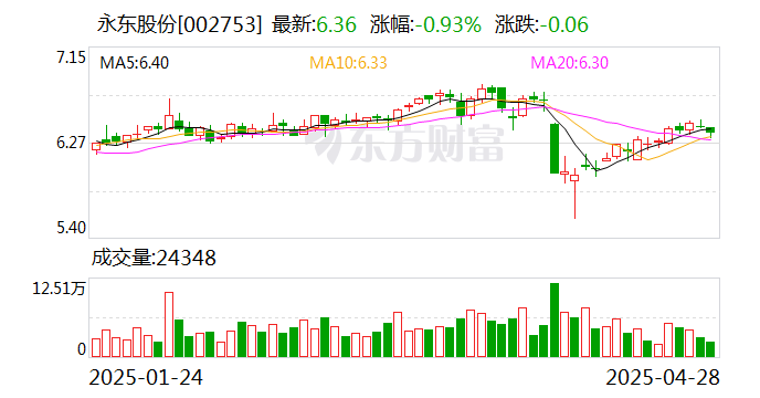永東股份，引領(lǐng)行業(yè)前沿，塑造卓越未來，永東股份，引領(lǐng)行業(yè)先鋒，塑造卓越未來之路