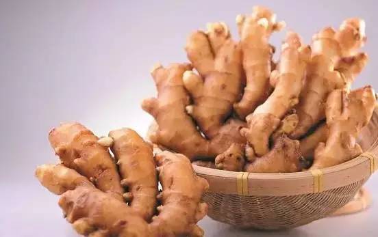 推薦 第12頁