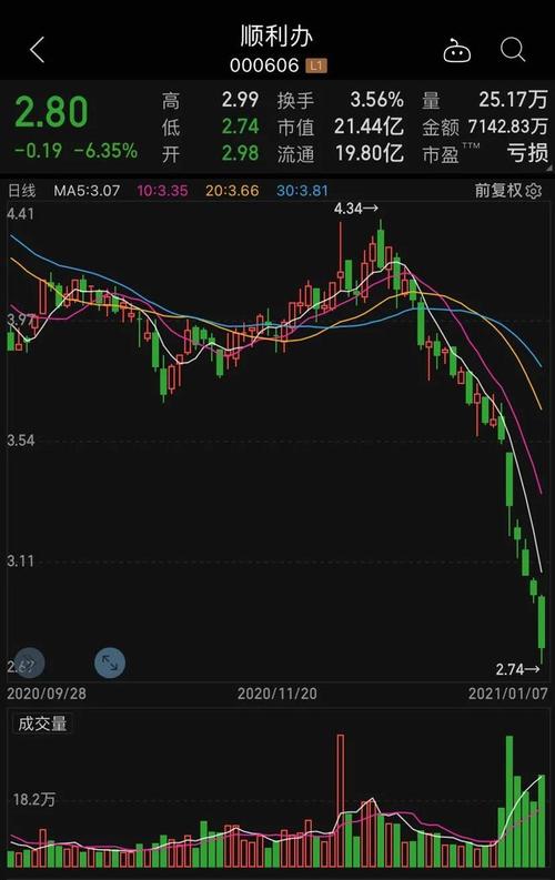 關于股票600205的全方位解析，股票600205全方位深度解析