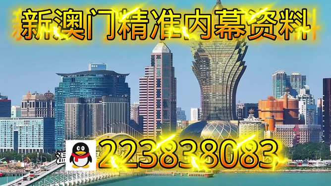 新澳門最快開獎直播，實時體驗與策略解析，澳門最新開獎直播，實時體驗與策略深度解析