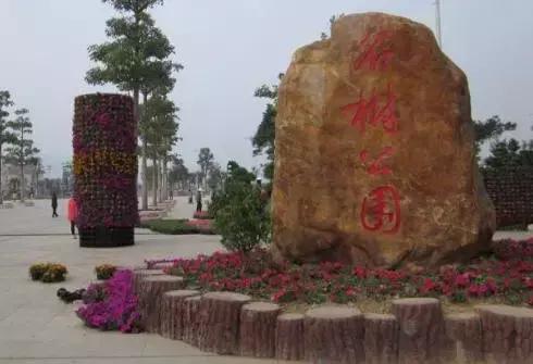 廣東陽江旅游必去十大景點(diǎn)——探索美麗的自然與人文景觀，廣東陽江旅游必去十大景點(diǎn)——自然與人文美景探索