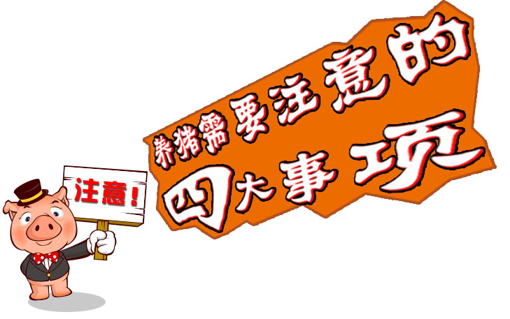 揭秘二四六王中王，幽默解讀一肖傳奇，揭秘二四六王中王，一肖傳奇的幽默解讀