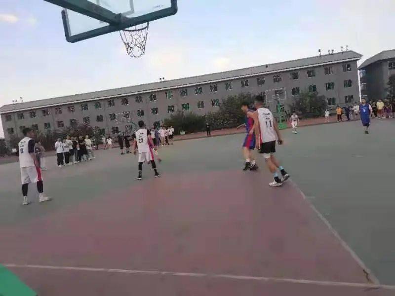 澳門二四六天下彩天天免費大全——全面解析澳門彩票文化，澳門彩票文化全面解析，二四六天下彩免費大全