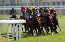 澳門賽馬六月份開獎結(jié)果及賽事分析，澳門六月份賽馬開獎結(jié)果與賽事深度解析