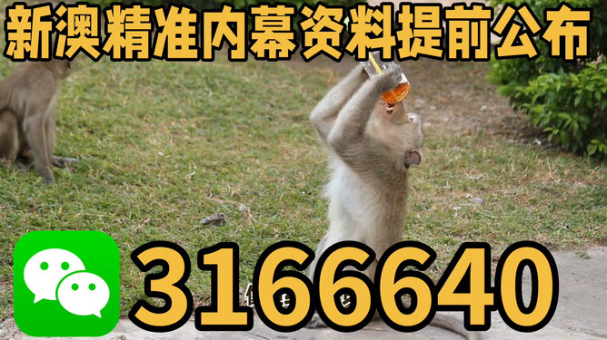 探索澳門特馬文化，四不像的獨(dú)特魅力與未來展望（關(guān)鍵詞，澳門特馬四不像），澳門特馬四不像文化深度探索，魅力、展望與未來發(fā)展