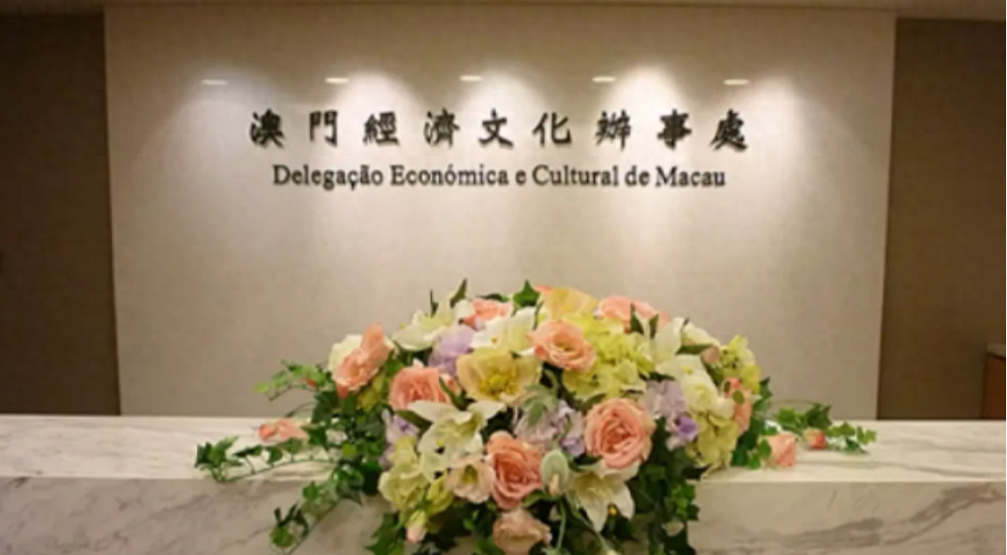澳門一碼一肖一待一中四不像——揭開神秘面紗下的真相，澳門神秘事件揭秘，一碼一肖一待一中四不像真相探索