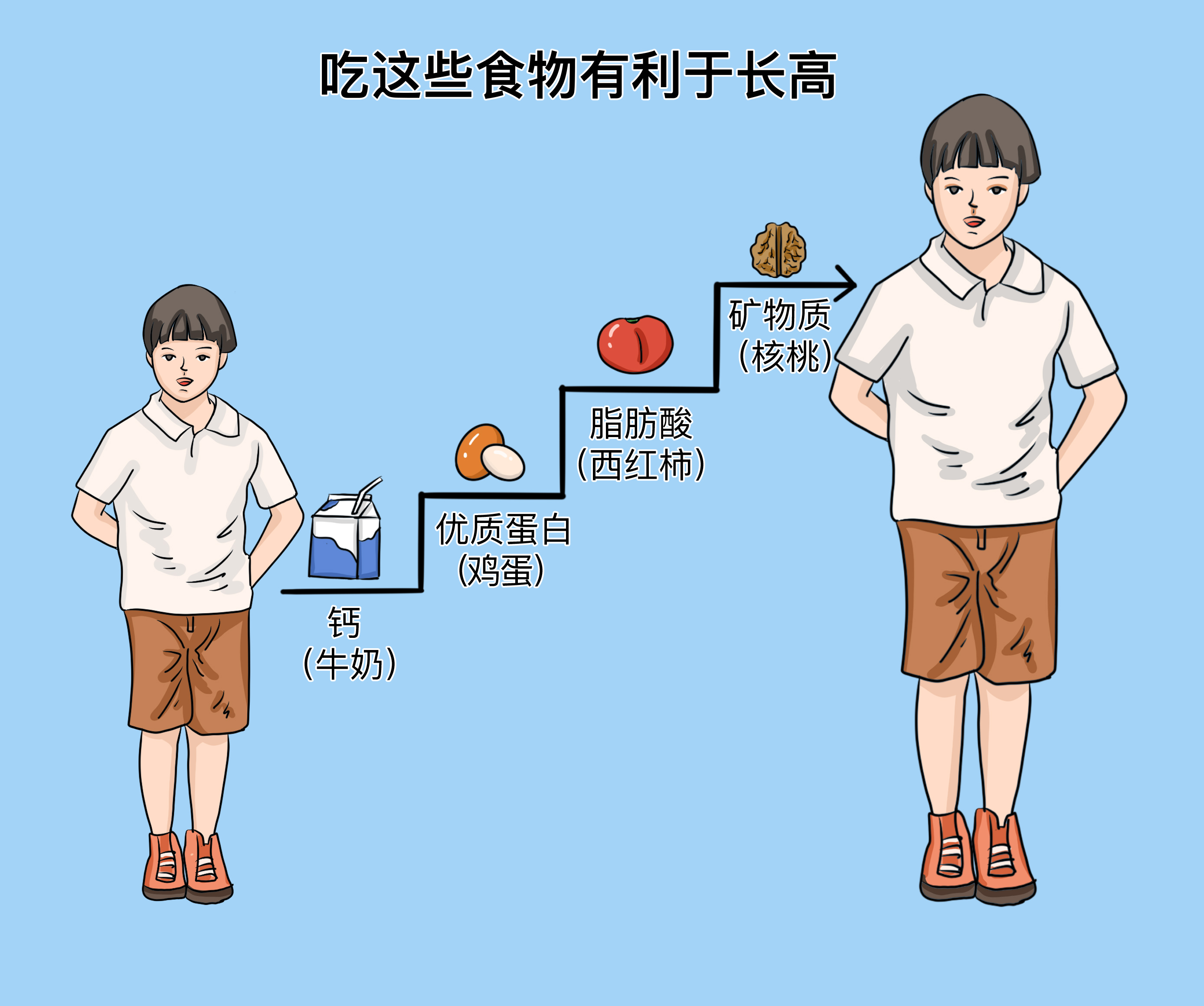 什么食物吃猛長高——助力生長發(fā)育的食物指南，助力生長發(fā)育，猛長高的食物指南