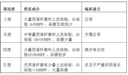 滴蟲與霉菌，哪個(gè)更嚴(yán)重？深入了解兩者的差異與影響，滴蟲與霉菌，哪個(gè)更嚴(yán)重？差異與影響深度解析