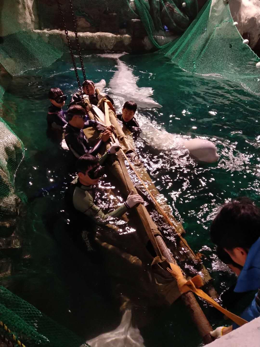 杭州極地海洋公園門票價(jià)格詳解，多少錢一張？，杭州極地海洋公園門票價(jià)格全解析，費(fèi)用究竟是多少？