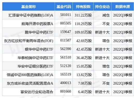 深度解析與洞察