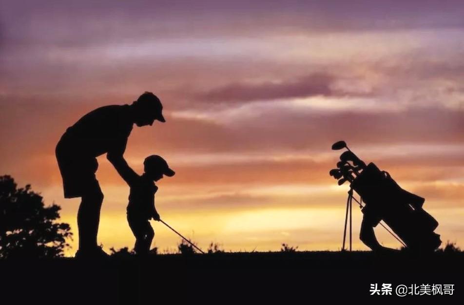 森林之中王中王，探尋生肖之神秘力量——揭秘生肖中的王者形象與森林之王的生肖解讀，揭秘生肖王者形象與森林之王生肖的神秘力量探索