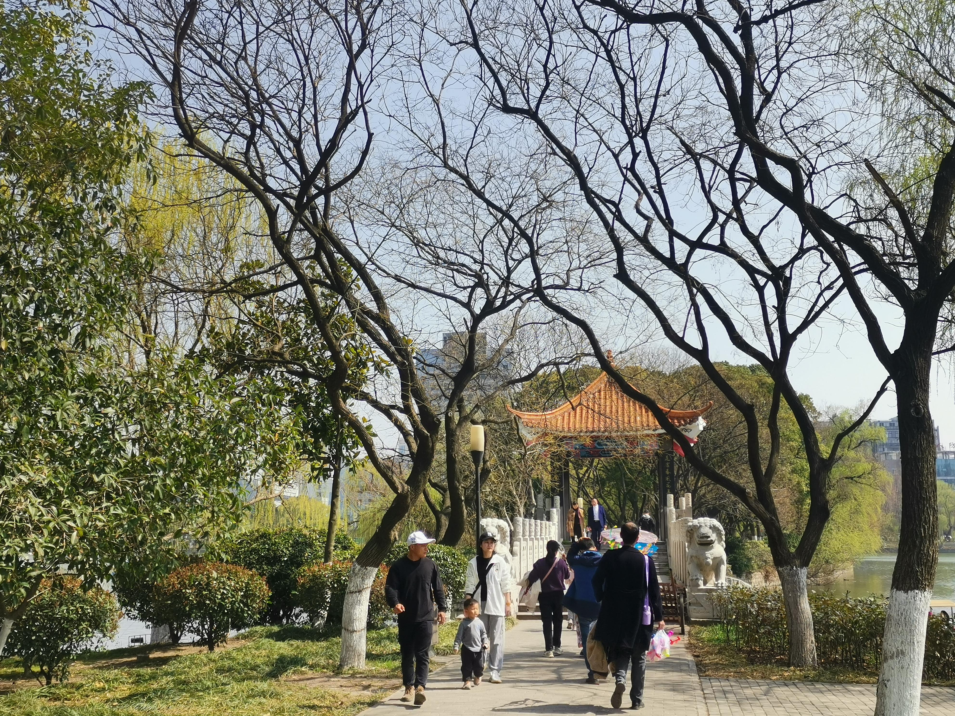 澳門75期最快天天開獎(jiǎng)，揭秘彩票背后的秘密與策略，澳門75期天天開獎(jiǎng)揭秘，彩票背后的秘密與策略探究