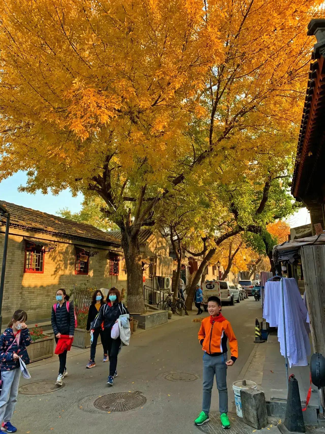 冬天北京一日游最佳景點(diǎn)攻略，北京冬季一日游最佳景點(diǎn)攻略