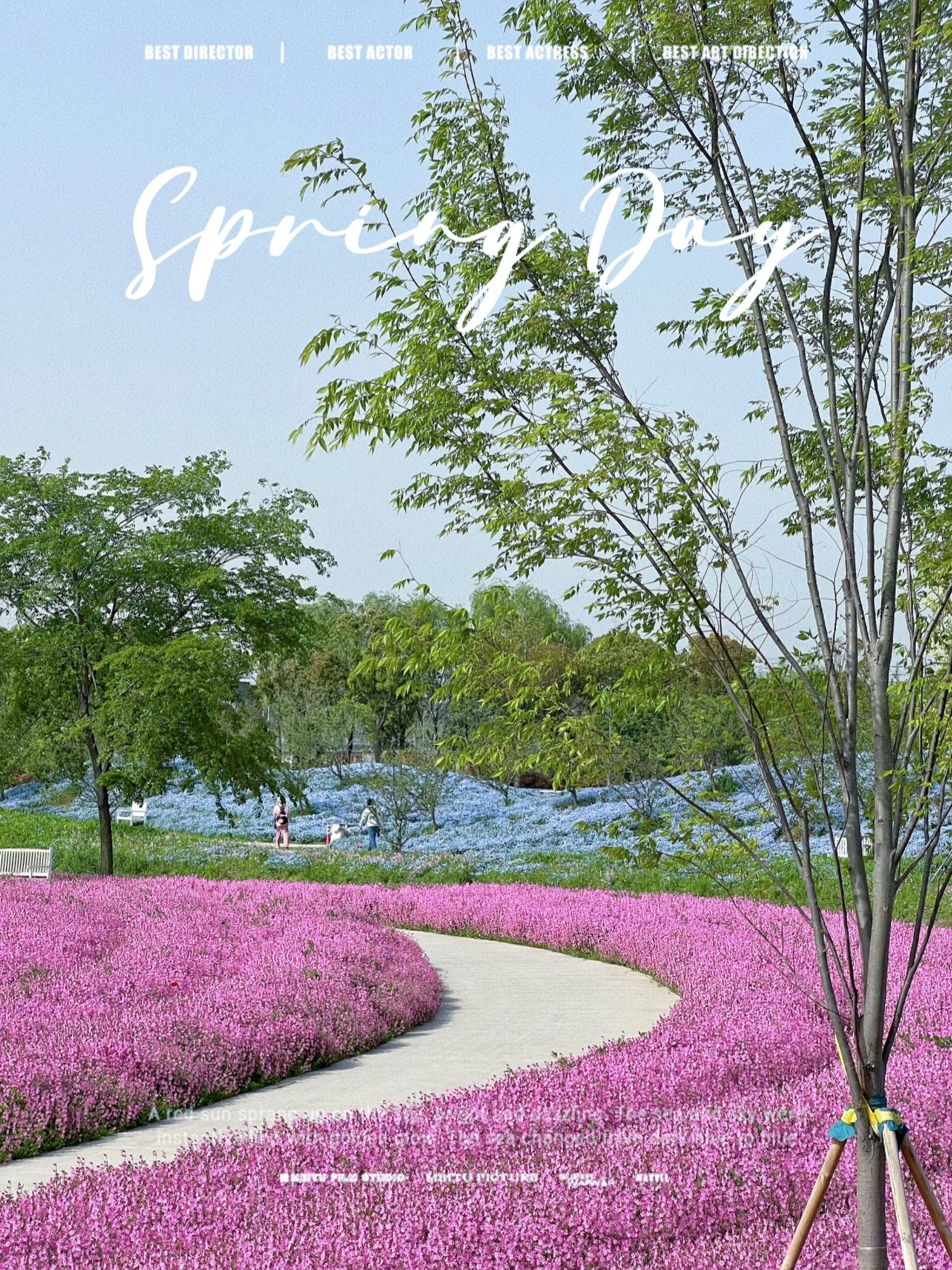上海最美的花海公園，綻放的自然盛宴，上?；ê９珗@，自然盛宴之美
