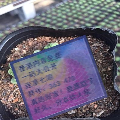 關于三肖賠多少錢的全面解析，三肖賠款金額全面解析